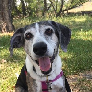 Meet your Posher, Lisa